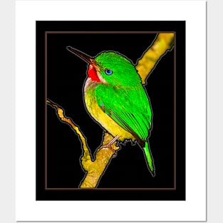 San Pedrito Puerto Rican Bird Posters and Art